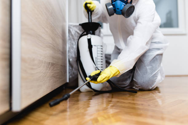 Best Termite Control Services  in Newport, NC