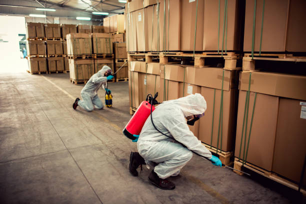 Best Pest Control Near Me in Newport, NC