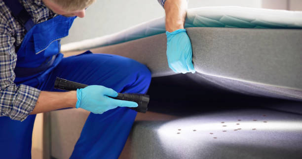Best Bed Bug Extermination  in Newport, NC