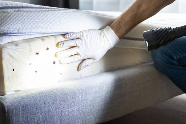 Best Wildlife Control Services  in Newport, NC