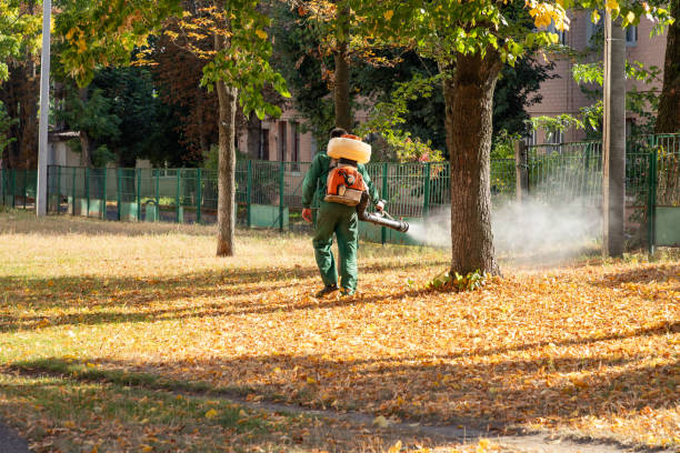Best Emergency Pest Control  in Newport, NC